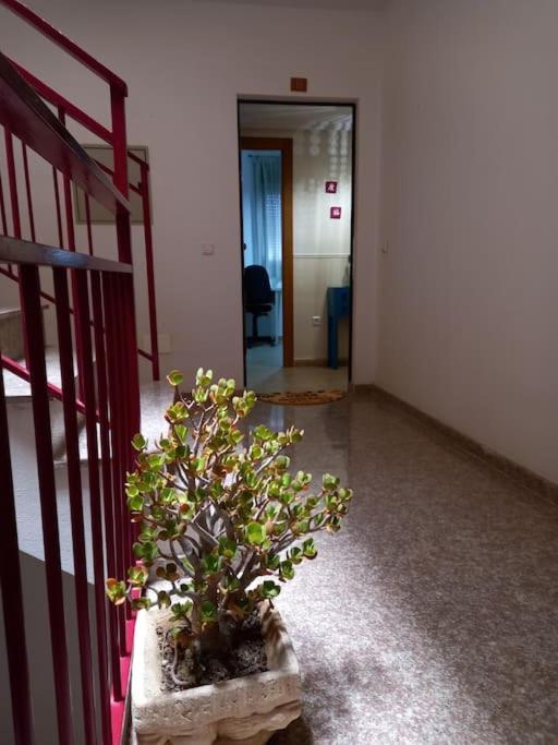 Tranquilo Cerca De Zonas Verdes Cieza